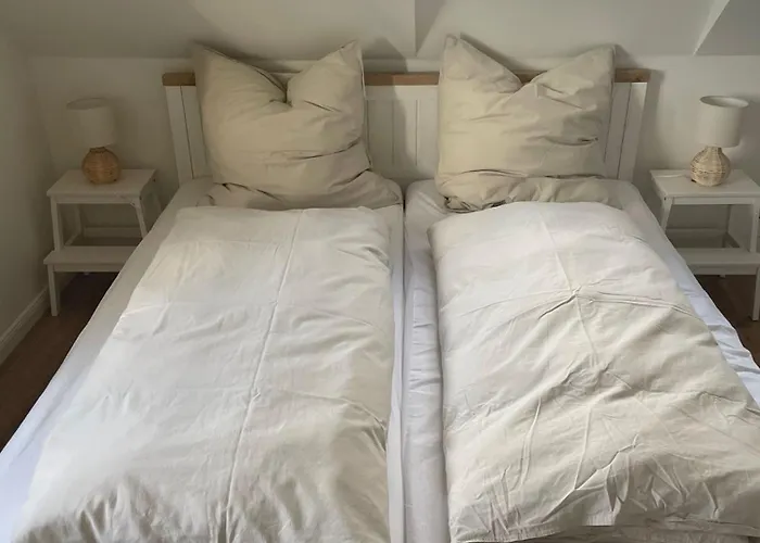 度假居 Linnebarg Hus 4 *